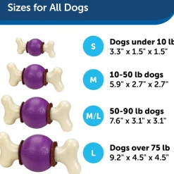Petsafe Busy Buddy Bouncy Bone Treat Dispenser Dog Chew Toy