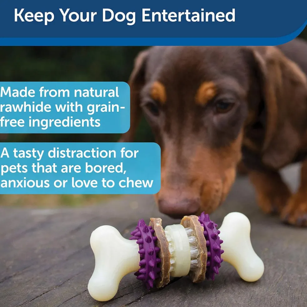 Petsafe Busy Buddy Bristle Bone Treat Dispenser Dog Chew Toy