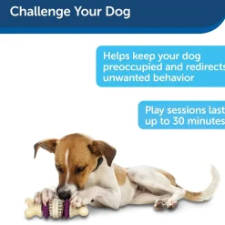Petsafe Busy Buddy Bristle Bone Treat Dispenser Dog Chew Toy