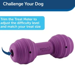 PetSafe Busy Buddy Chuckle Treat Dispenser Dog Toy, Medium/Large
