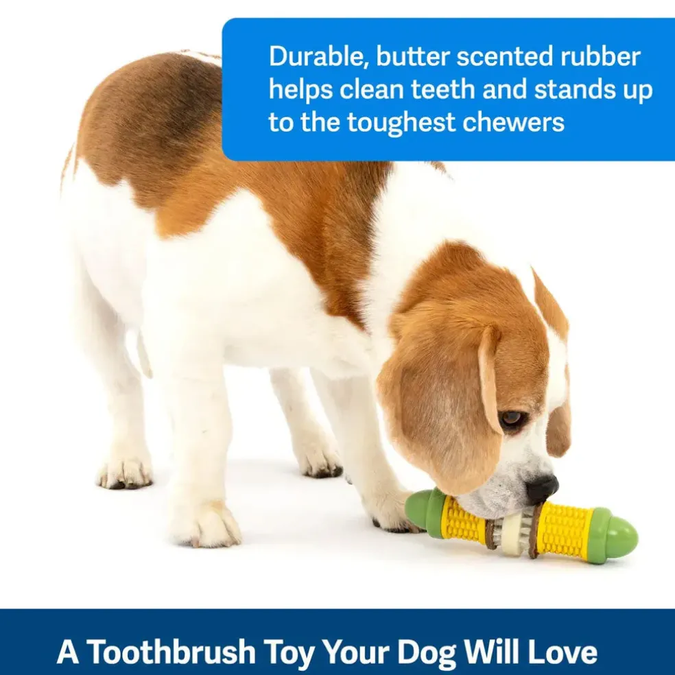 Petsafe Busy Buddy Cravin Corncob Treat Holding Dog Toy