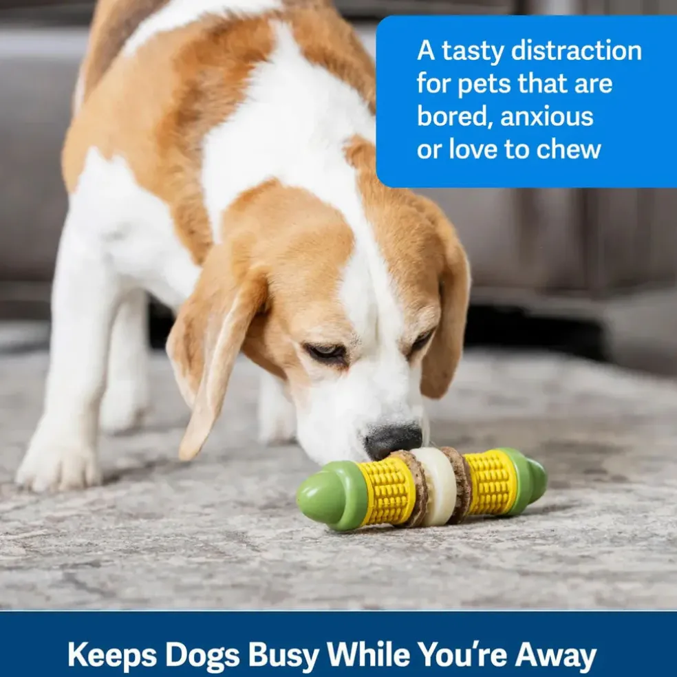 Petsafe Busy Buddy Cravin Corncob Treat Holding Dog Toy