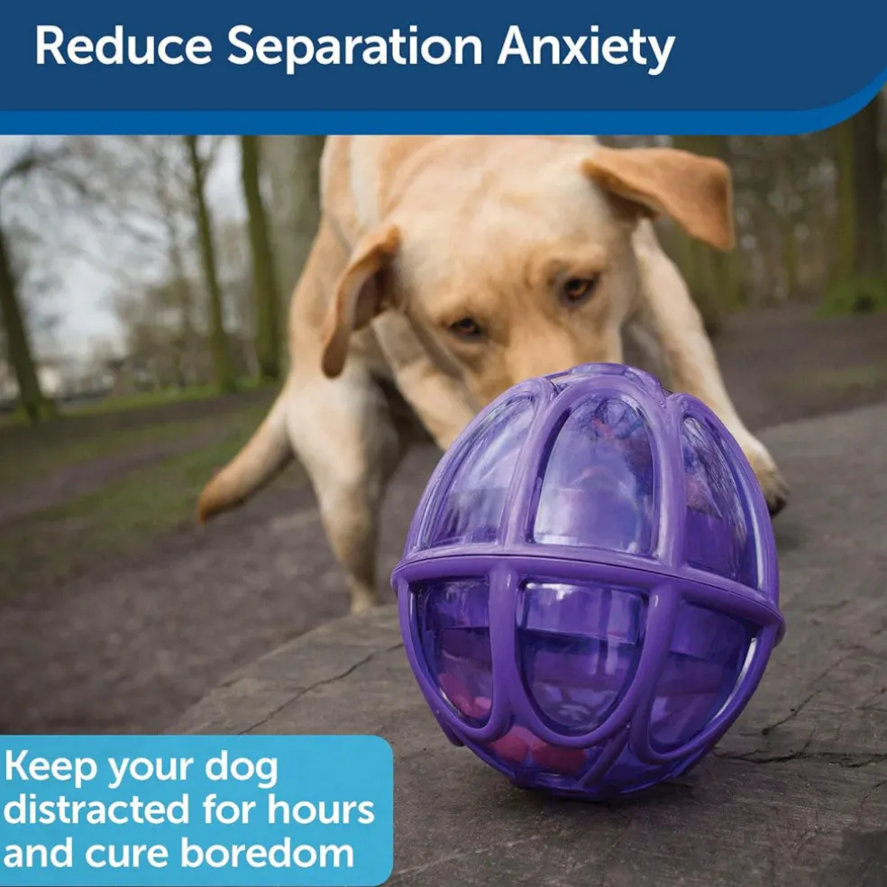 Petsafe Busy Buddy Dog Toy Kibble Nibble Treat Dispenser Dog Toy