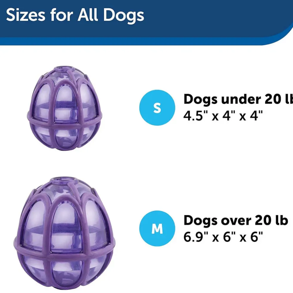 Petsafe Busy Buddy Dog Toy Kibble Nibble Treat Dispenser Dog Toy
