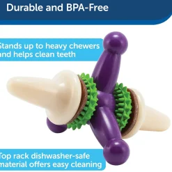 Petsafe Busy Buddy Jack Treat Dispenser Dog Chew Toy, Purple/White