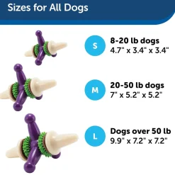 Petsafe Busy Buddy Jack Treat Dispenser Dog Chew Toy, Purple/White
