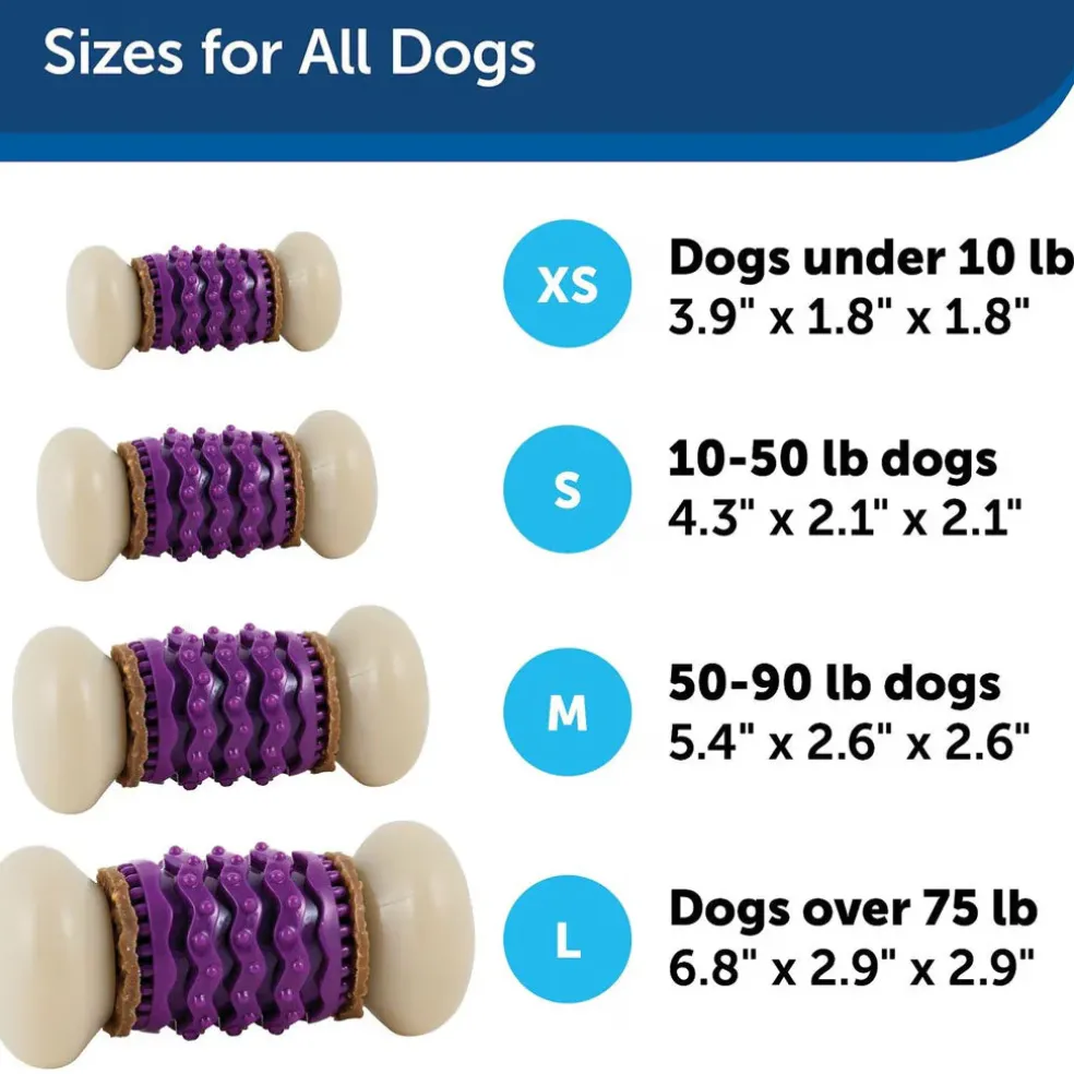 Petsafe Busy Buddy Nobbly Nubbly Treat Dispensing Dog Chew Toy