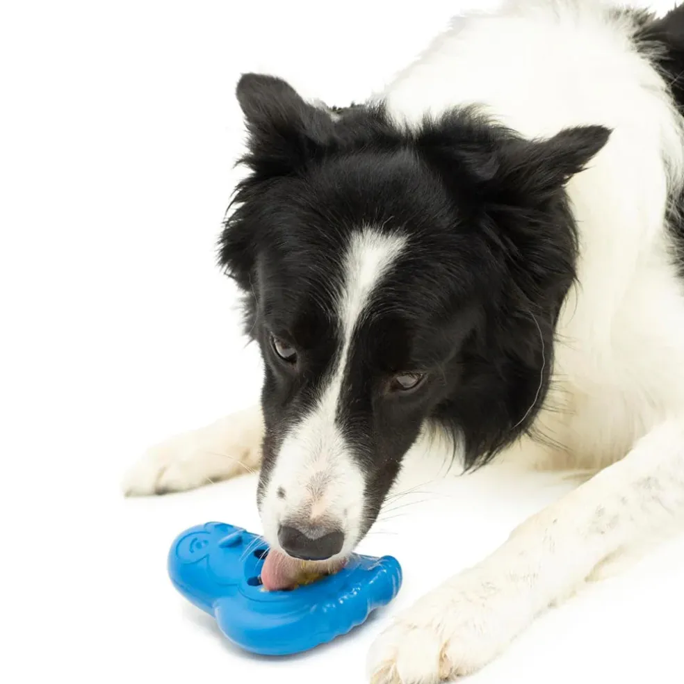 Petsafe Busy Buddy Penguin Freezable Treat Holding Dog Toy