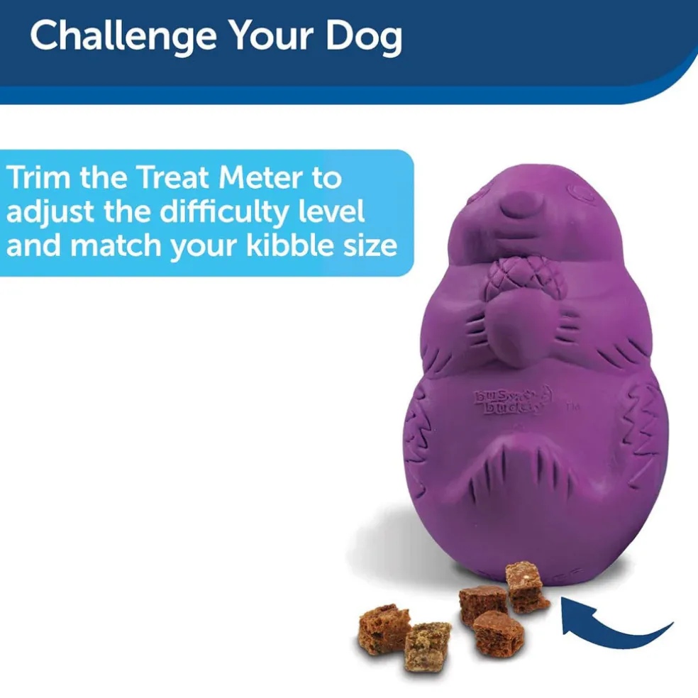 Petsafe Busy Buddy Squirrel Dude Treat Dispenser Dog Chew Toy