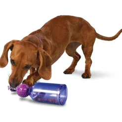 Petsafe Busy Buddy Tug-A-Jug Treat Dispenser Tough Dog Chew Toy