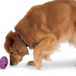 Petsafe Busy Buddy Twist 'n Treat Treat Dispenser Dog Toy