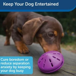 Petsafe Busy Buddy Twist 'n Treat Treat Dispenser Dog Toy