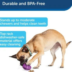 Petsafe Busy Buddy Twist 'n Treat Treat Dispenser Dog Toy