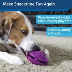 Petsafe Busy Buddy Twist 'n Treat Treat Dispenser Dog Toy