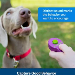 PetSafe Clik-R Training Guide Package For Dogs