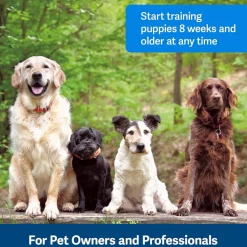 PetSafe Clik-R Training Guide Package For Dogs