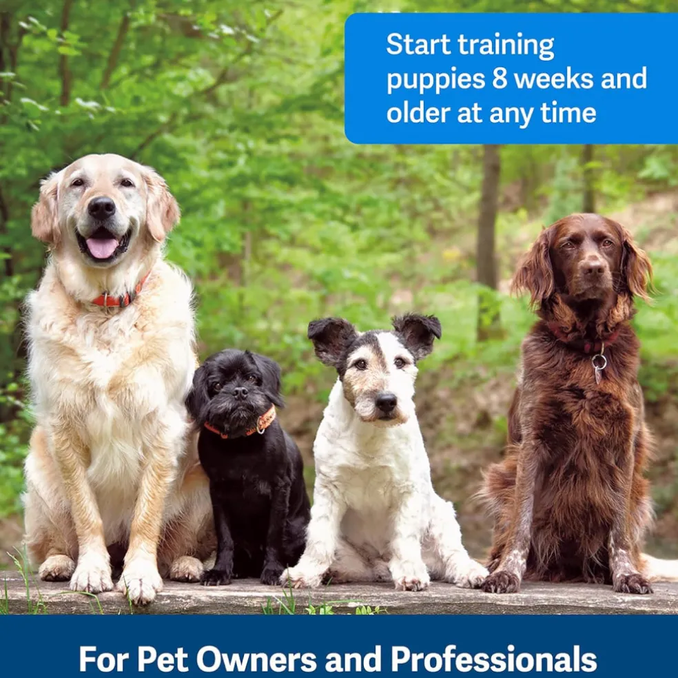 PetSafe Clik-R Training Guide Package For Dogs