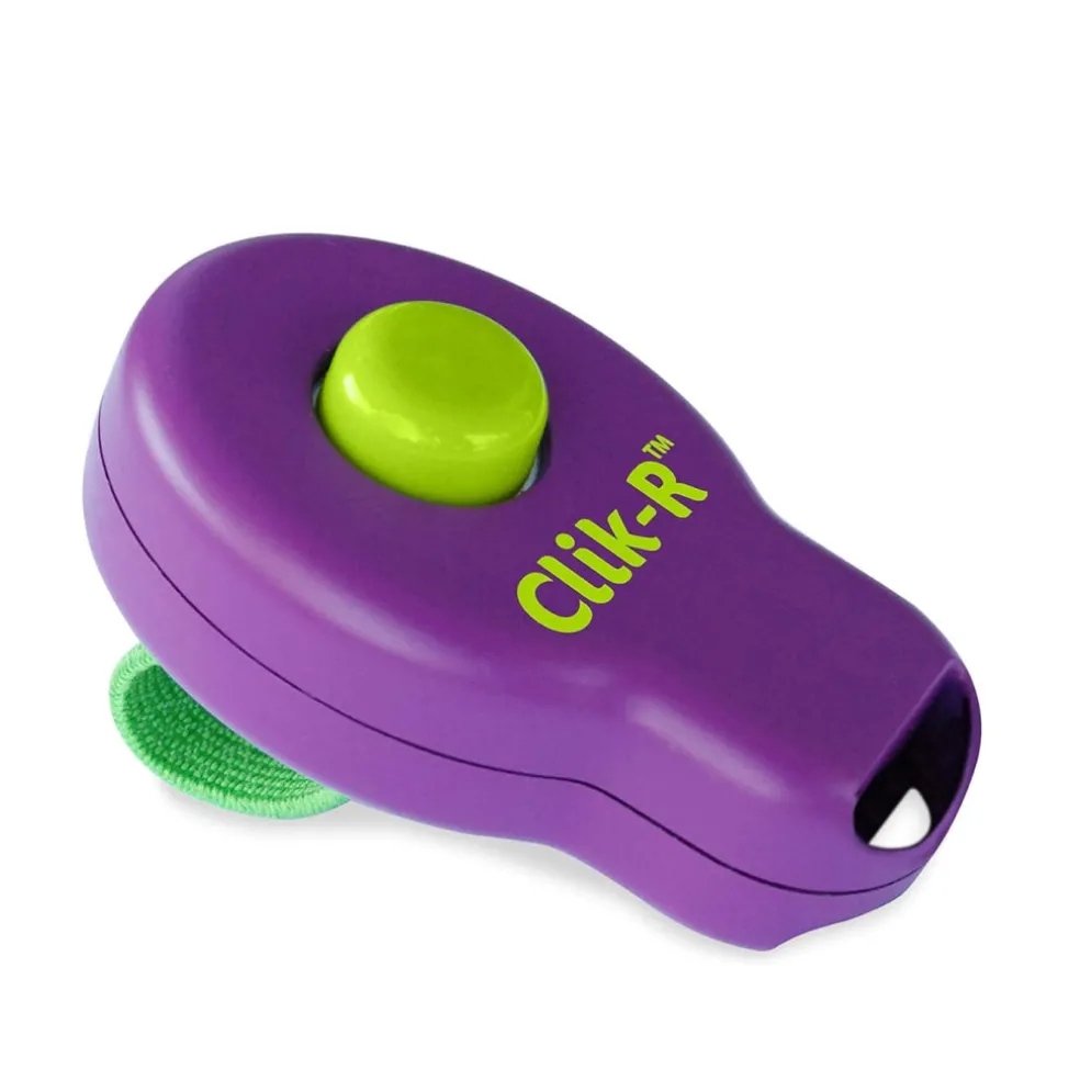 PetSafe Clik-R Training Guide Package For Dogs