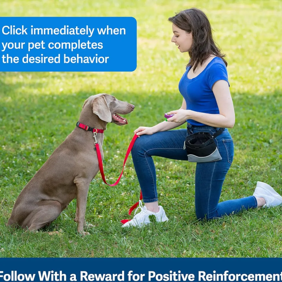PetSafe Clik-R Training Guide Package For Dogs