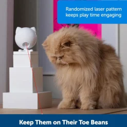 PetSafe Dancing Dot Laser Cat Toy
