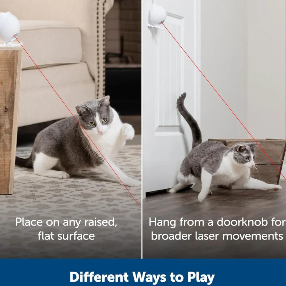 PetSafe Dancing Dot Laser Cat Toy