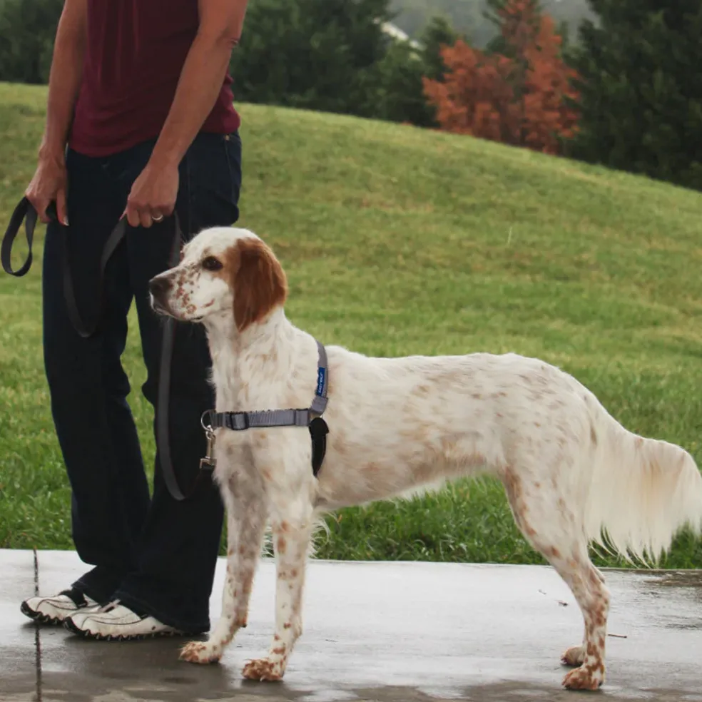 PetSafe Deluxe Easy Walk No Pull Dog Harness, Steel/Black