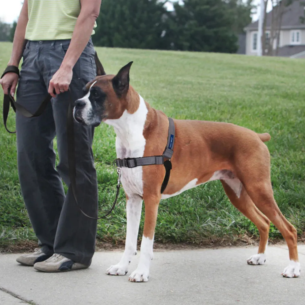 PetSafe Deluxe Easy Walk No Pull Dog Harness, Steel/Black