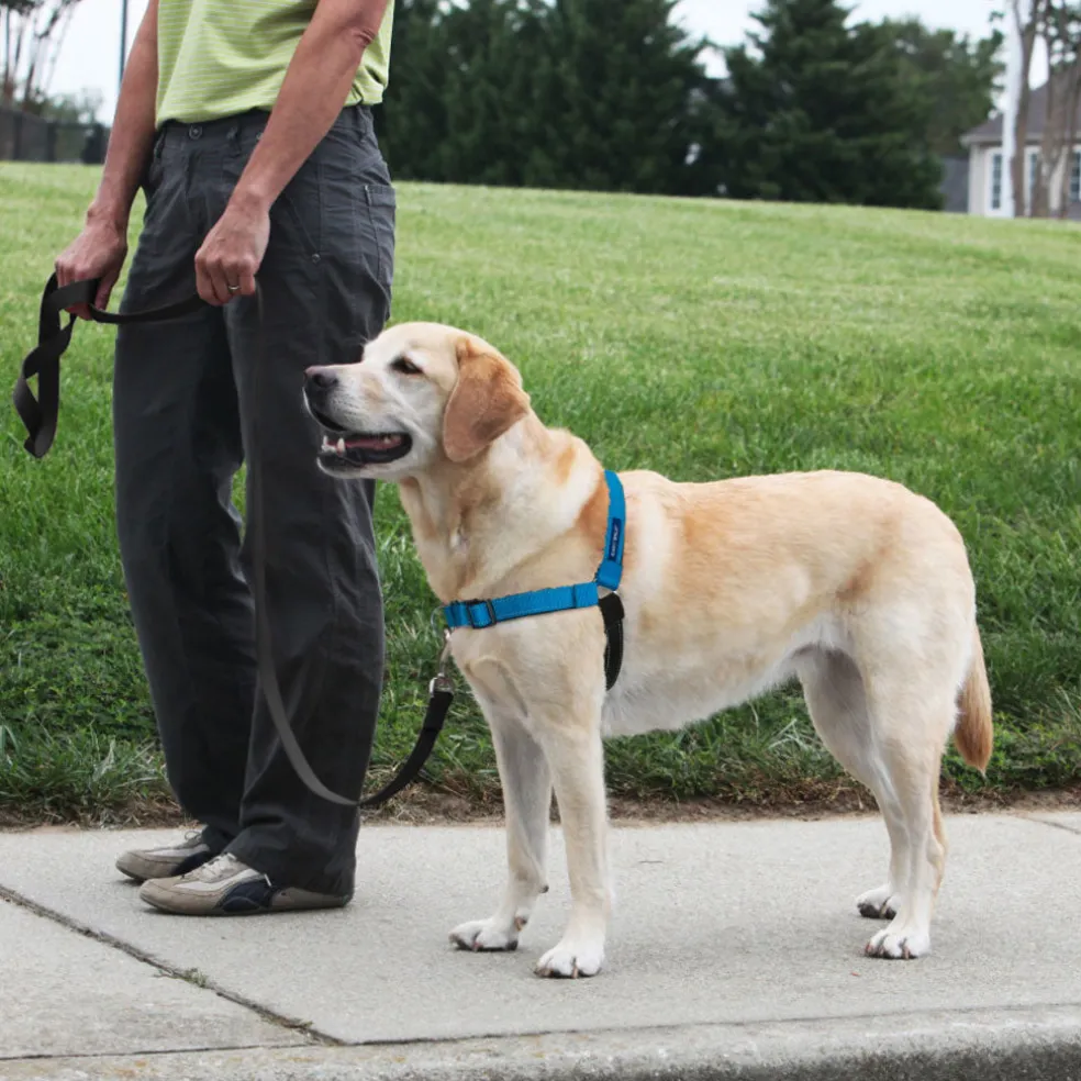 PetSafe Deluxe Easy Walk No Pull Dog Harness, Ocean/Black