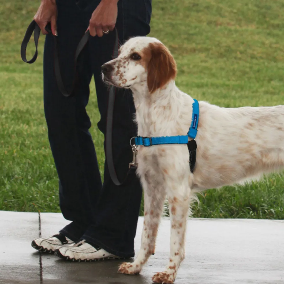 PetSafe Deluxe Easy Walk No Pull Dog Harness, Ocean/Black