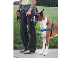 PetSafe Deluxe Easy Walk No Pull Dog Harness, Ocean/Black
