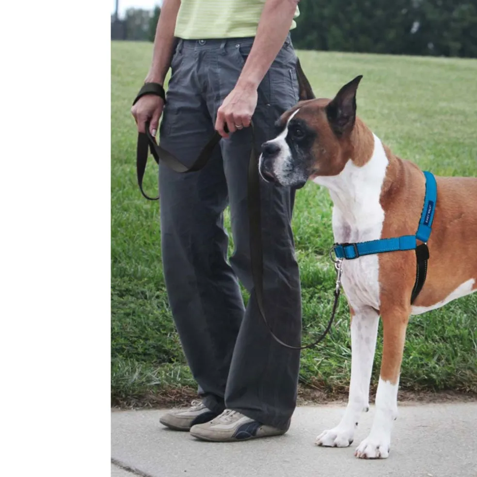 PetSafe Deluxe Easy Walk No Pull Dog Harness, Ocean/Black
