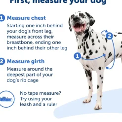 PetSafe Deluxe Easy Walk No Pull Dog Harness, Ocean/Black