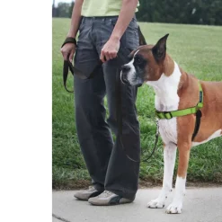 PetSafe Deluxe Easy Walk No Pull Dog Harness, Apple/Black