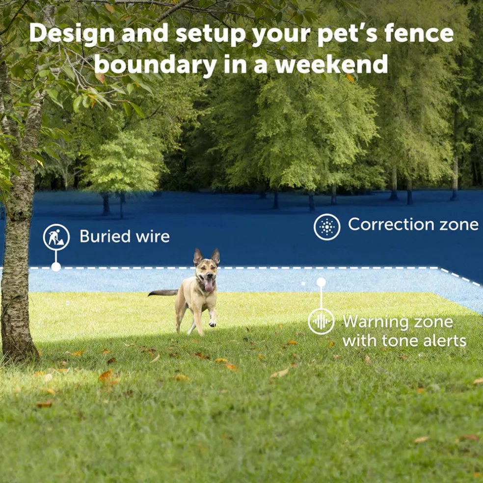 PetSafe Deluxe In-Ground Ultralight Receiver Collar