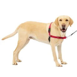 PetSafe Easy Walk Dog Harness Black/Red