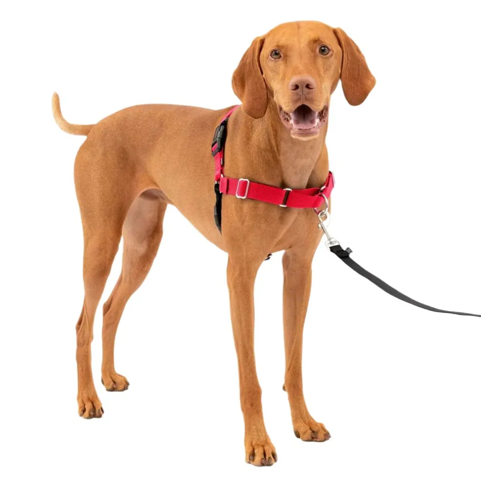 PetSafe Easy Walk Dog Harness Black/Red