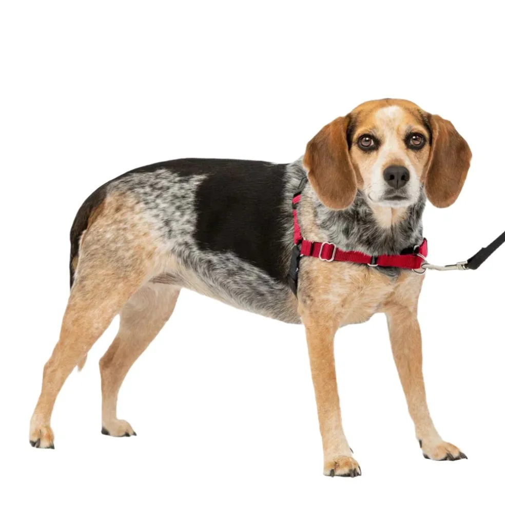 PetSafe Easy Walk Dog Harness Black/Red