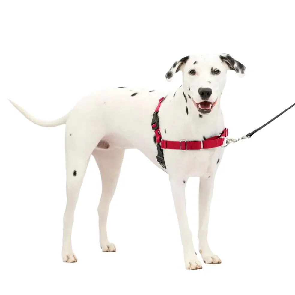 PetSafe Easy Walk Dog Harness Black/Red