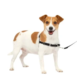 PetSafe Easy Walk Dog Harness Black/Silver