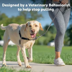 PetSafe Easy Walk Dog Harness Black/Silver