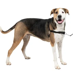 PetSafe Easy Walk Dog Harness Black/Silver