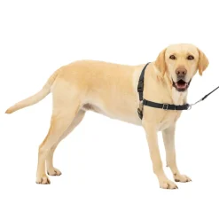PetSafe Easy Walk Dog Harness Black/Silver