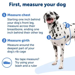 PetSafe Easy Walk Dog Harness Black/Silver