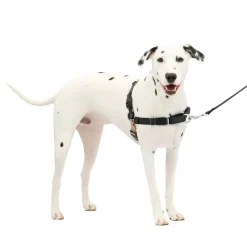 PetSafe Easy Walk Dog Harness Black/Silver