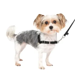 PetSafe Easy Walk Dog Harness Black/Silver