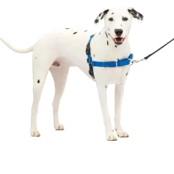 PetSafe Easy Walk Dog Harness Royal Blue/Navy
