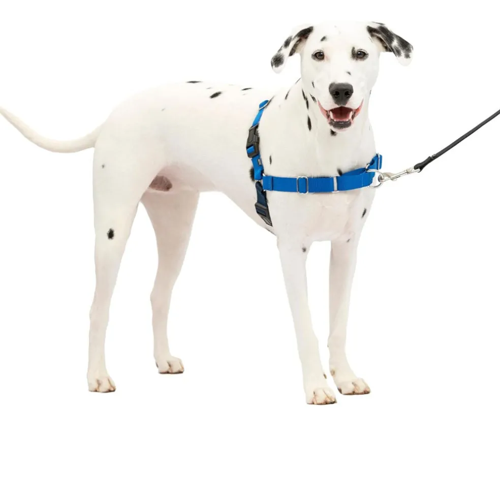 PetSafe Easy Walk Dog Harness Royal Blue/Navy
