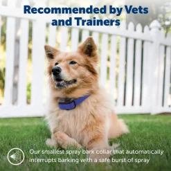 PetSafe Elite Little Dog Waterproof Spray Dog Bark Collar, 16-in