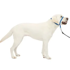 PetSafe Gentle Leader Headcollar for Dogs, Royal Blue