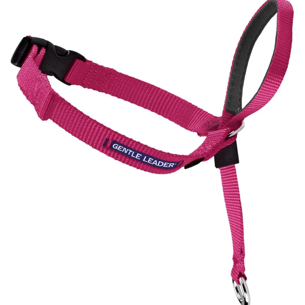 PetSafe Gentle Leader Headcollar for Dogs, Raspberry